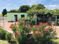 Villa Pinija
